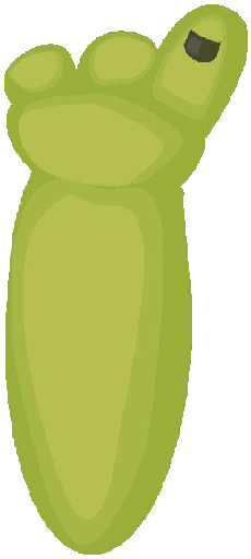 gerdak