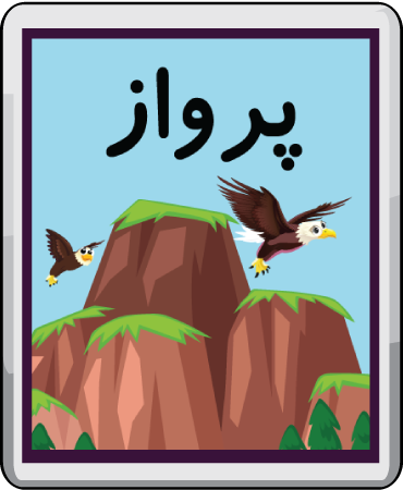 پرواز